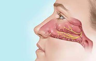 Neurological Examination in Gandhinagar