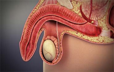lifestyle disorders hospital in gandhinagar