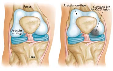 Orodental Care Treatment in Gandhinagar