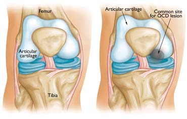 Orodental Care Treatment in Gandhinagar
