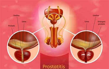 Respiratory Meaning in Gandhinagar
